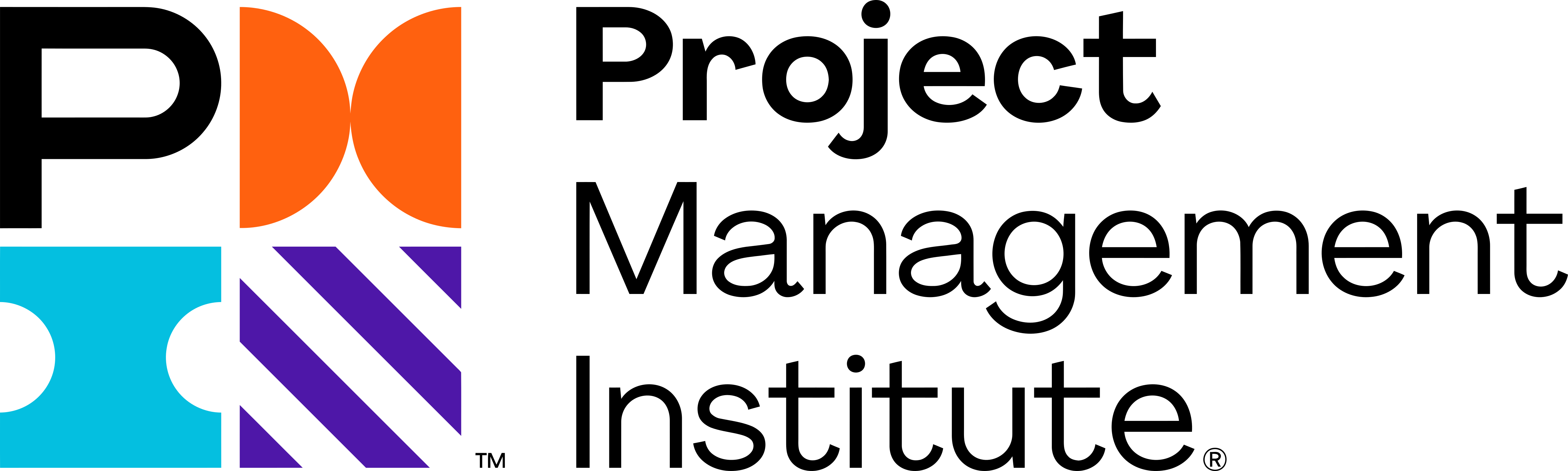 PMI · Project Management Institute