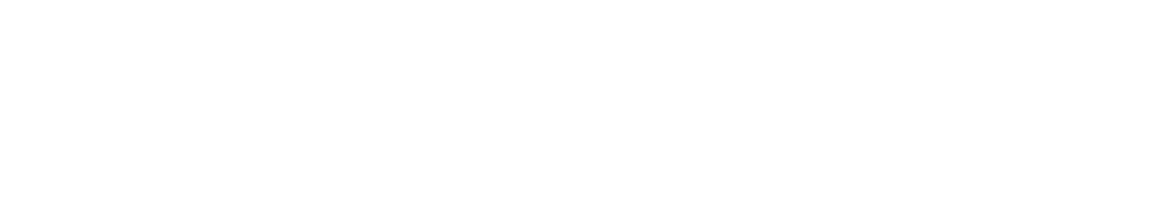 Logo Sailpoint Logo Sailpoint